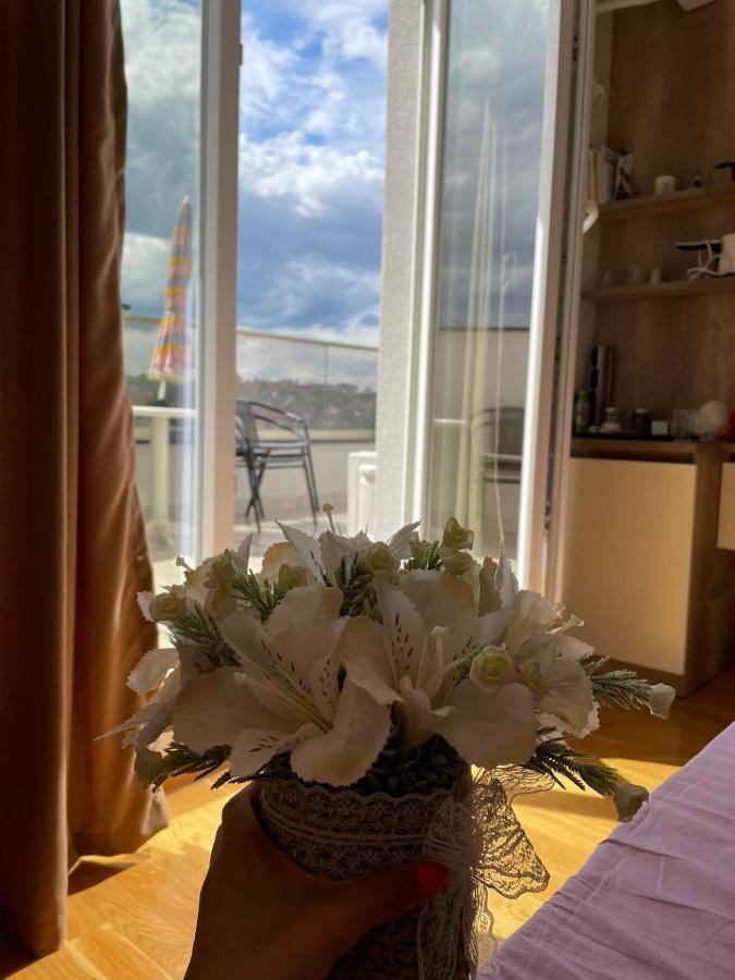 Apartment Bojana Penthouse Negotino (Negotino)